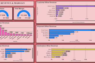 design professional excel and power bi dashboard