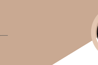 article writer, politics and international affairs