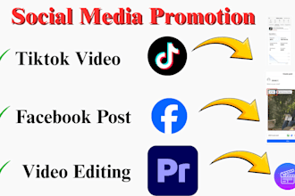 promote business on facebook, instagram, tiktok