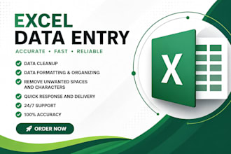clean, format, and organize excel data professionally