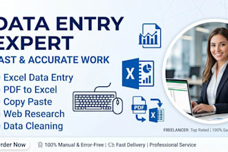 fast and accurate data entry and advance excel work