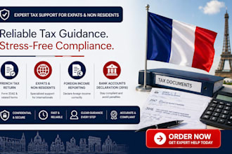 provide france tax consultant service, french tax return and expat tax help