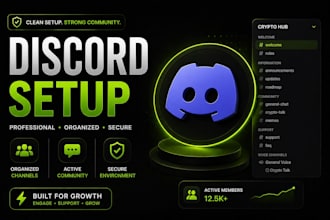 set up a professional discord server for your crypto or nft project