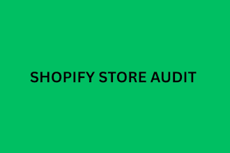 do shopify audit for your brand