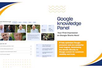 create a standard google knowledge panel knowledge graph for any category