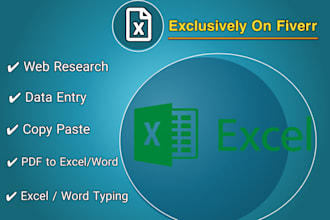 fast and accurate data entry copypaste excel and typing work