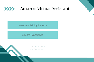 manage your amazon and walmart store professionally