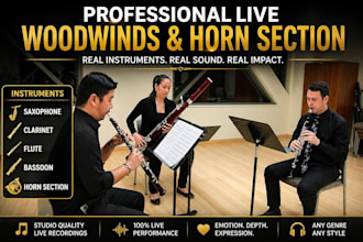 record pro saxophone, clarinet, flute or horn section for your song