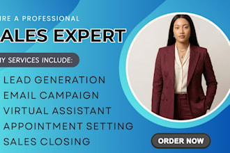 be high ticket sales closer salesperson sales rep appointment setter b2b sales