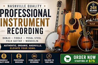 record nashville quality banjo, fiddle, pedal steel, folk guiter and mandolin
