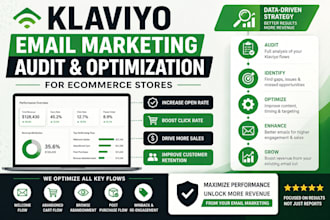audit and optimize klaviyo email marketing flows  ecommerce