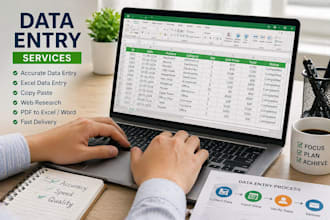 do accurate data entry, copy paste, excel data entry fast