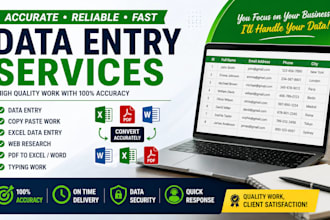 accurate data entry fast typing  excel  web research expert
