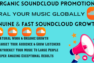 do professional soundcloud music promotion for super fast growth using ads
