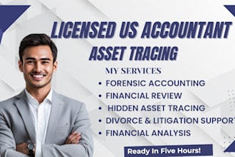 perform professional asset tracing and hidden asset investigation for divorce