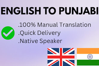 do professional english to punjabi translation