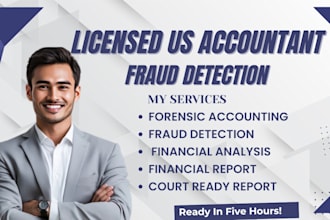 investigate financial fraud and detect fraud or errors