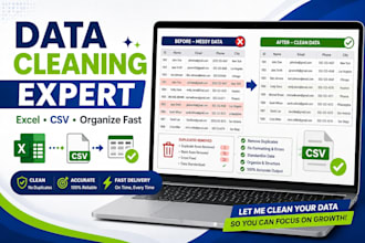 do excel data cleaning, CSV cleanup and organize data fast