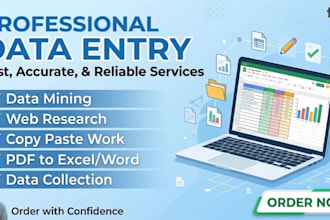 manage your professional excel data entry and web research