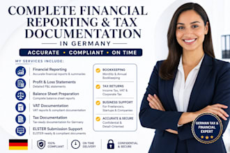 handle complete germany tax documentation and financial reporting