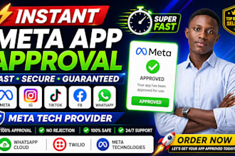 instant meta app approval fb meta tech provider ig tiktok whatsapp cloud twilio
