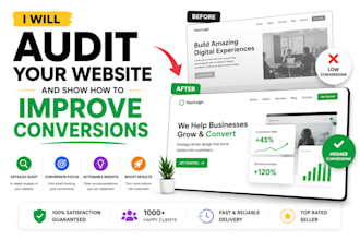 audit your website and show how to improve conversions