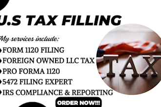 file your pro forma form 1120 and form 5472 with the irs