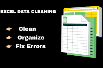 clean and organise your excel data professionally