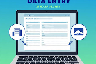 do fast and accurate data entry, excel data entry, pdf to excel