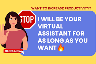 daily weekly personal virtual assistant admin task data entry virtual assistant