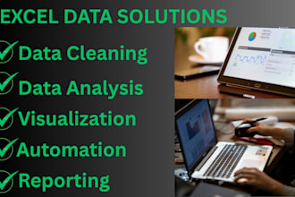 do professional excel solutions for your business