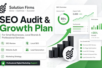 do SEO audit and digital marketing growth plan