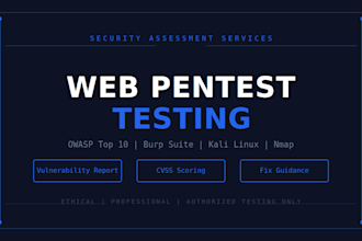 perform web application penetration testing and security audit