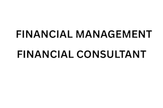 do financial consultation, financial audit