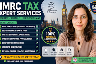 handle hmrc tax return, self assessment, vat registration and UK tax filing