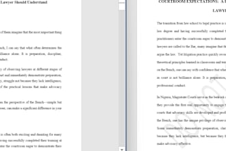 proofread, edit, rewrite and humanize your article