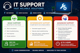provide remote IT support