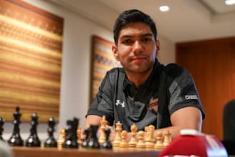 provide professional chess coaching