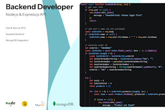 provide professional backend development using node js and express js