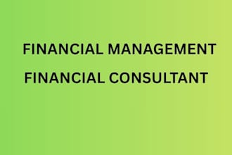 be your financial consultant, financial audit