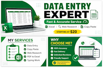 do accurate data entry, copy paste, typing and web research