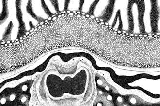create a hand drawn pointillism illustration