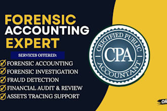 perform forensic accounting, fraud investigation, CPA financial audit