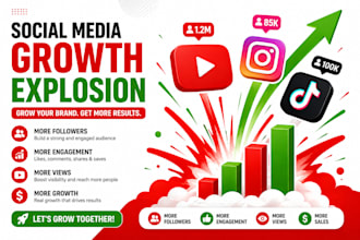 do fast viral seo optimize youtube channel promotion yt ads video monetization
