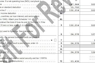 prepare and review US tax returns and amendments of 1040