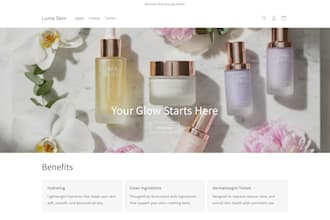 build or optimize your shopify store