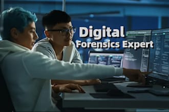 do digital forensics, malware and log analysis, cybercrime investigation