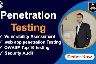 do professional penetration testing for your website