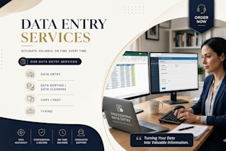 professional data entry and data web research