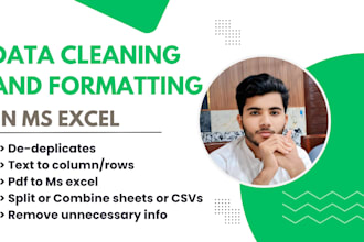 do cleaning , formatting , marge , split excel data